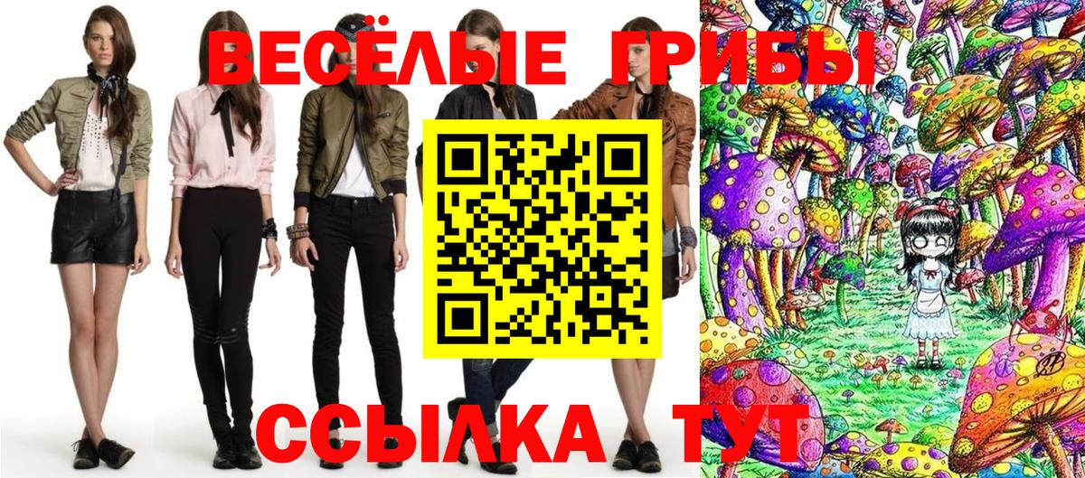 Галлюциногенные грибы мицелий  где можно купить наркотик  Киров  Вход с VPN 