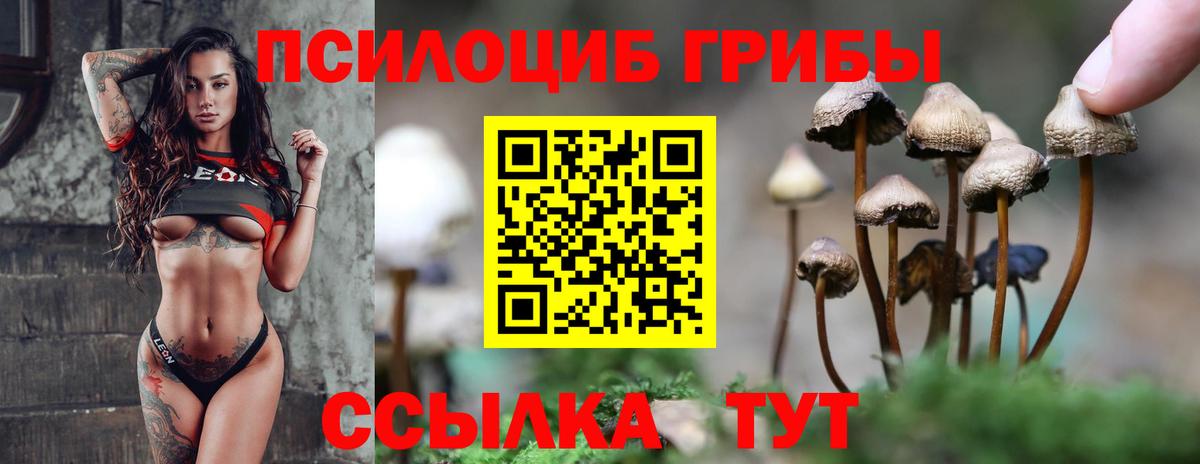 Псилоцибиновые грибы Cubensis Киров